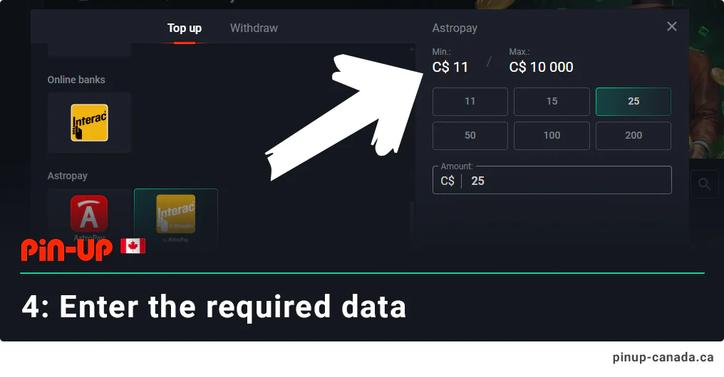 Enter all required personal data to deposit money - Pin Up Canada