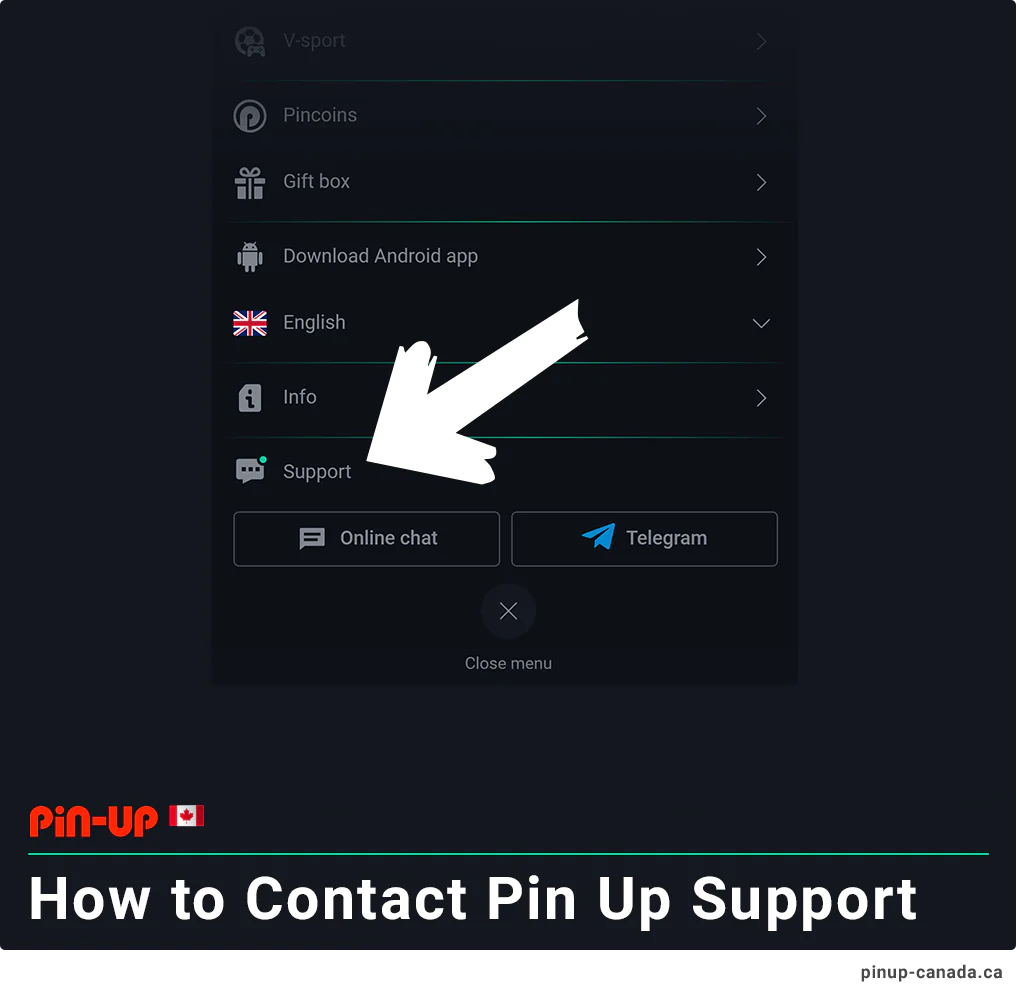 How to Contact Pin Up Customer Support