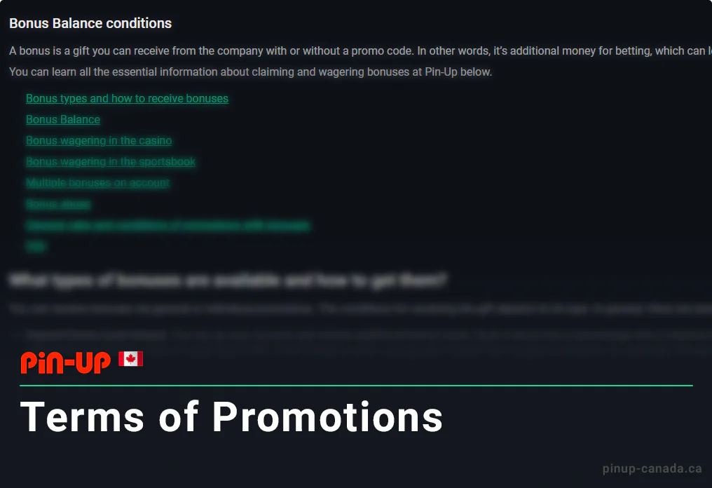 Pinup Bonus and Promotions Terms