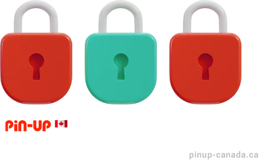 Pinup Privacy Policy