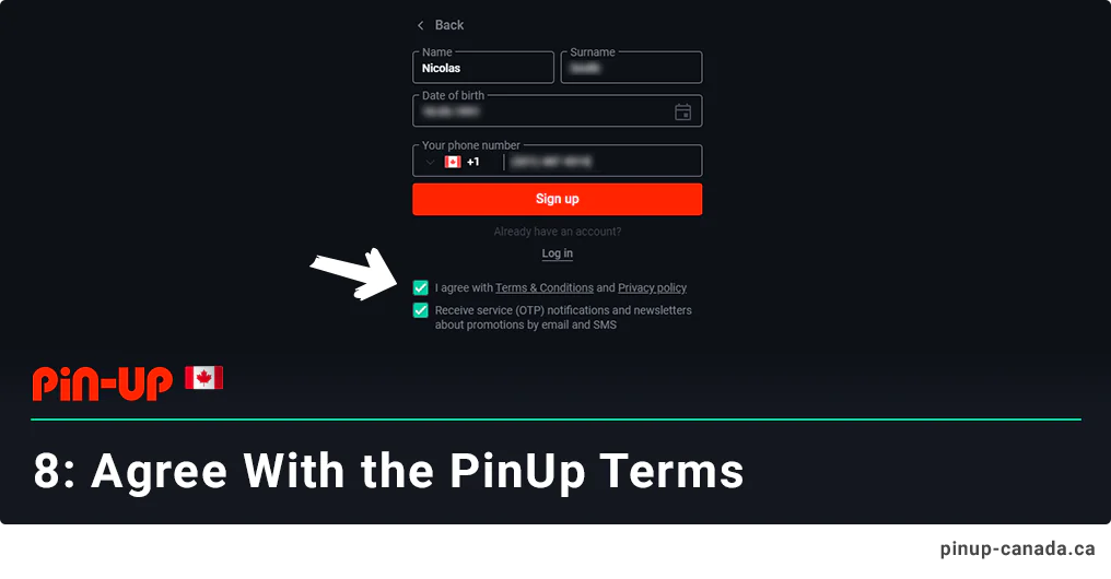 Agree with Pin Up terms and conditions - Registration