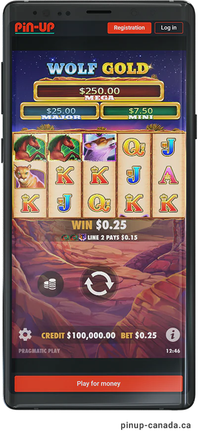 Pin Up Casino - App Slot Page