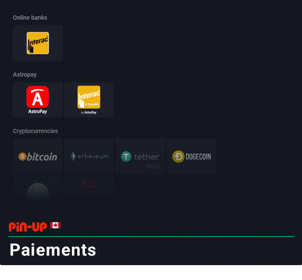 Pin Up Canada accepte tous les modes de paiement courants au Canada.