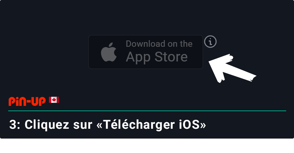 Cliquez sur le bouton «Télécharger» en bas de page pour télécharger l'application Pin Up pour iOS
