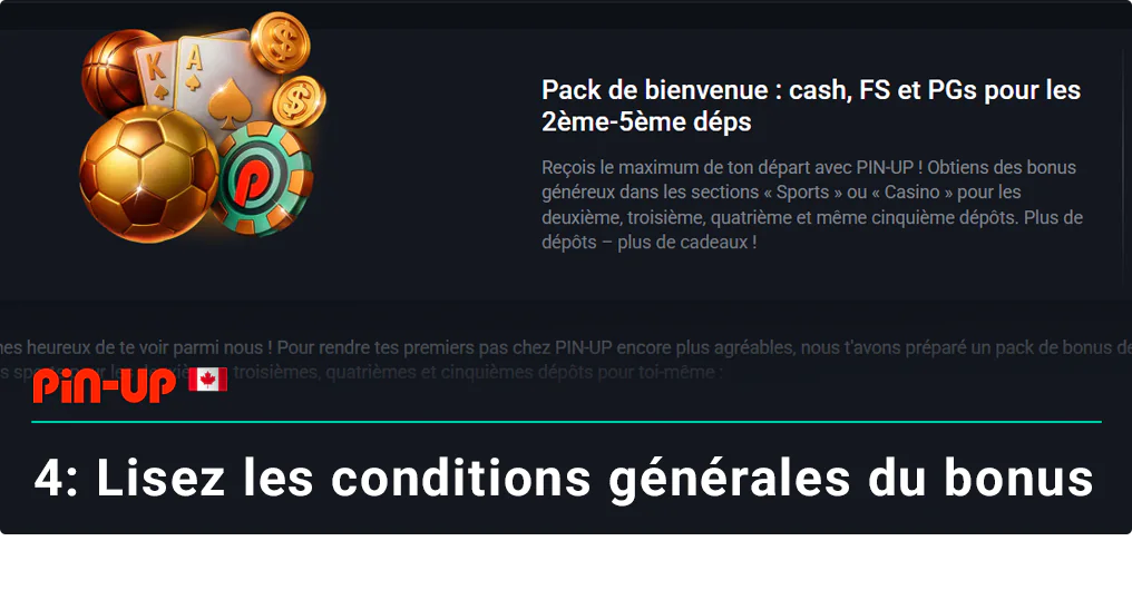 Lisez les règles du bonus sélectionné - Pin Up