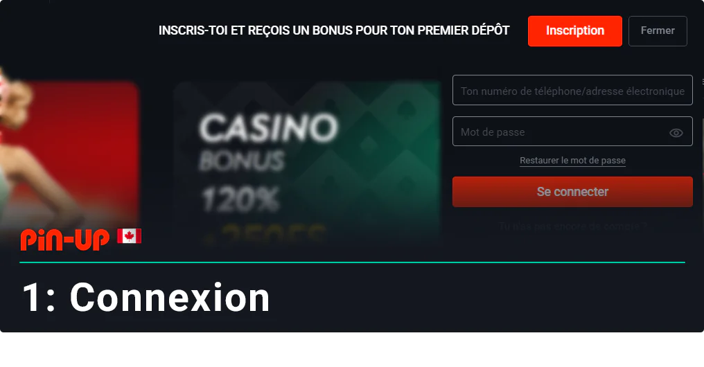 Connectez-vous à Pin Up pour commencer à déposer de l'argent.