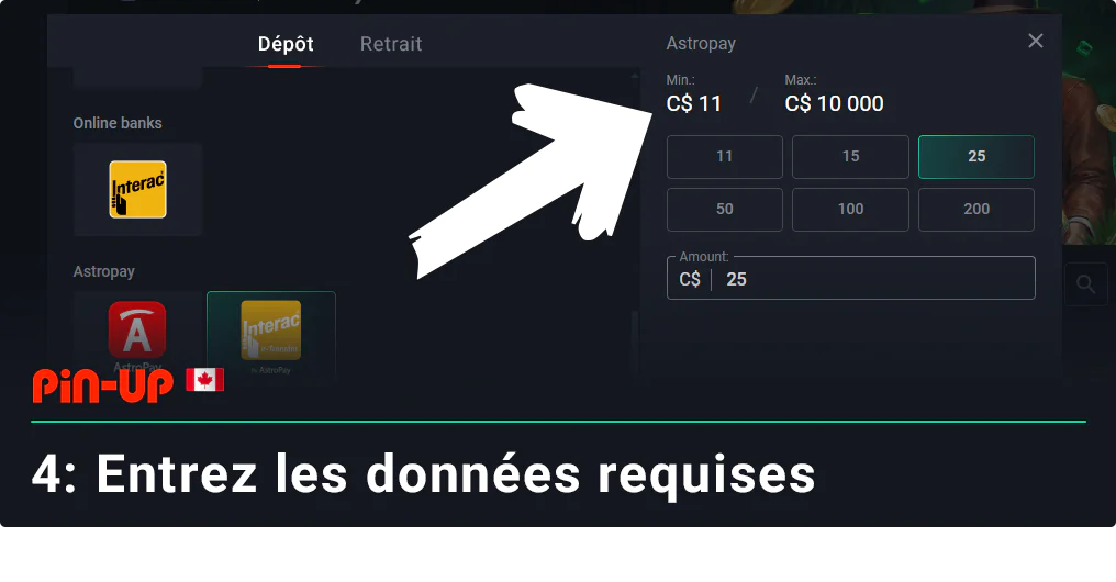 Saisissez toutes les données personnelles requises pour effectuer un dépôt - Pin Up Canada