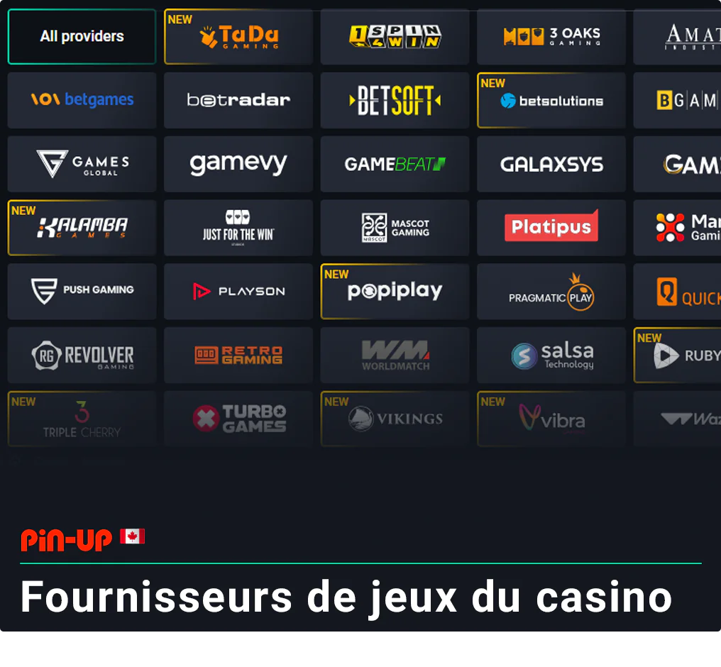 Jouez à des jeux de casino proposés par plus de 65 fournisseurs de jeux de casino de confiance.