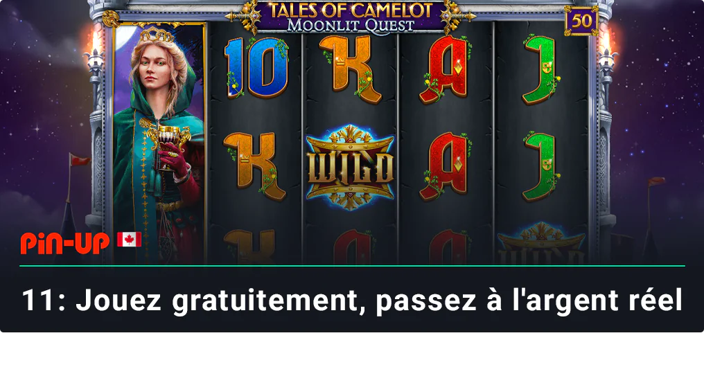 Plongez dans les règles et stratégies des jeux de casino et passez en mode argent réel - Pin Up