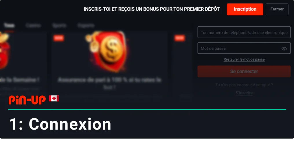 Connectez-vous à Pin Up CA à l'aide du bouton situé en haut de la page.