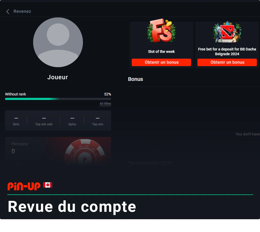 Avis sur le compte Pin Up Canada