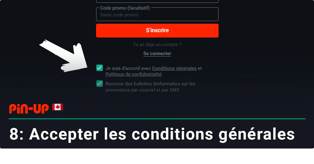 Agree with Pin Up terms and conditions - Registration