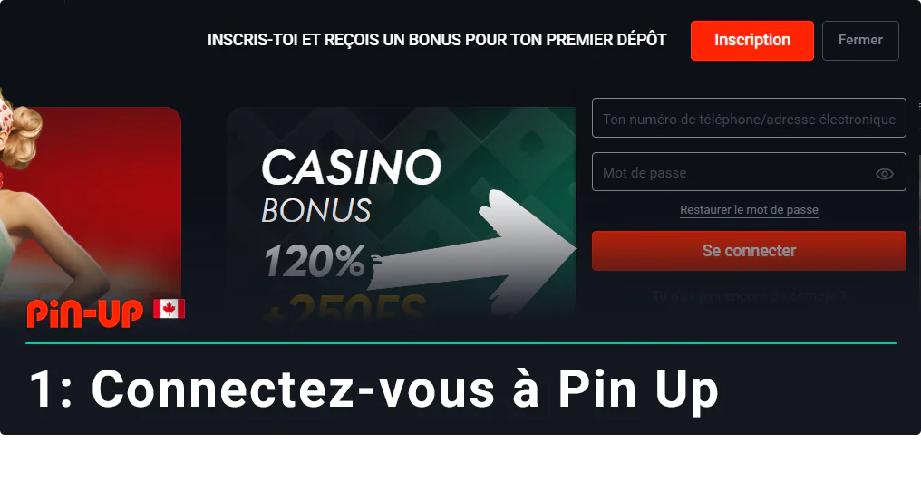 Pour commencer à retirer de l'argent de Pin Up, connectez-vous