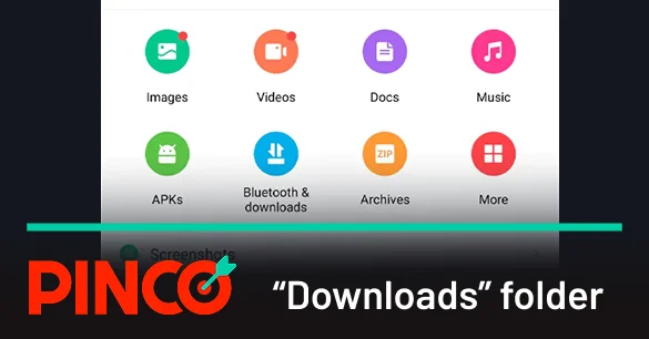 Navigate to the notification panel or the Pinco "Downloads"