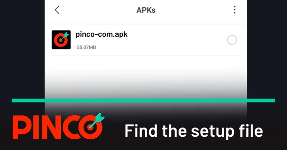 Find the setup file for the Pinco