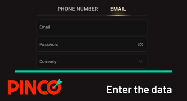 Enter the needed data in Pinco registration form
