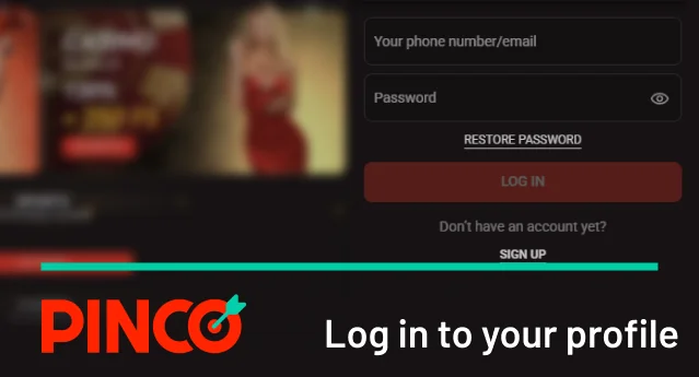Log in to your Pinco profile