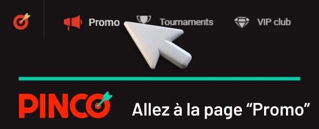 Aller sur la Pinco page "Promo"