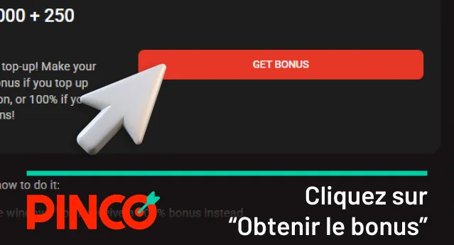 Cliquez sur le bouton Pinco « Obtenir maintenant »