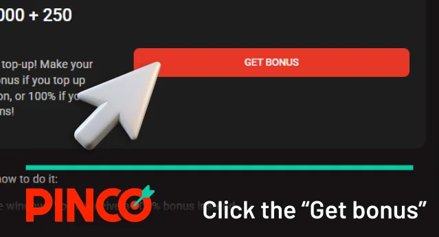 Click the “Get now” Pinco button