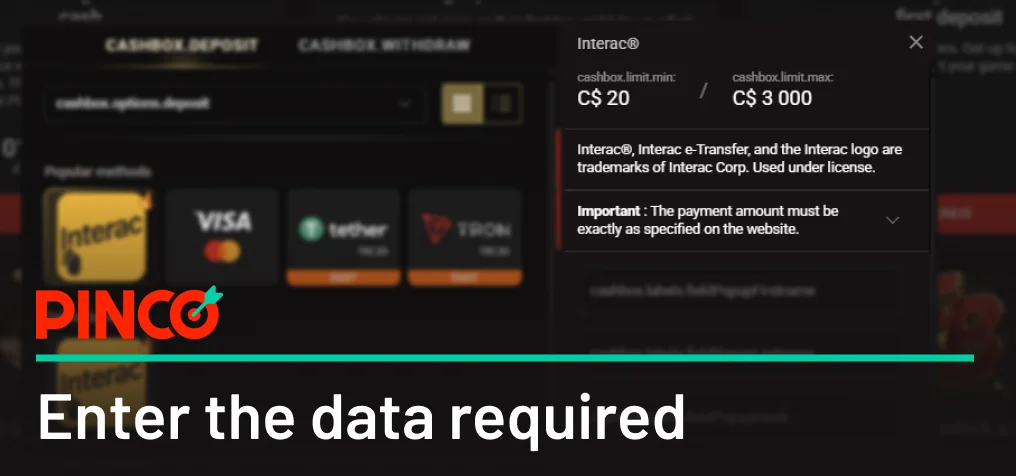Enter the data required on Pinco