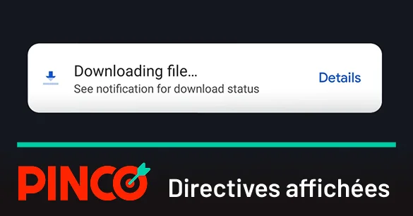Pinco affichées pour télécharger le fichier d’installation