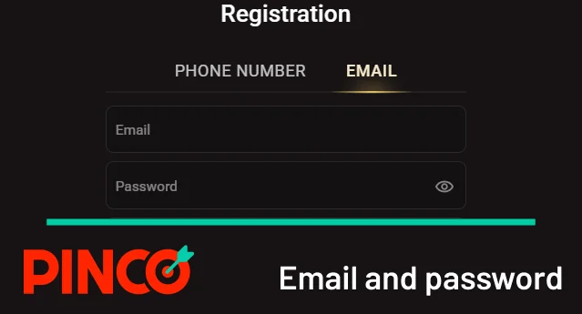 Enter your email and password for Pinco