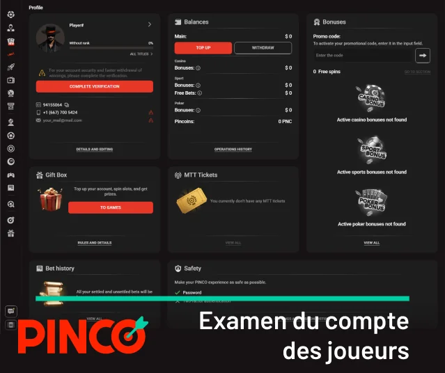 Vous trouverez l’icône de votre profil personnel en bas du menu de gauche Pinco