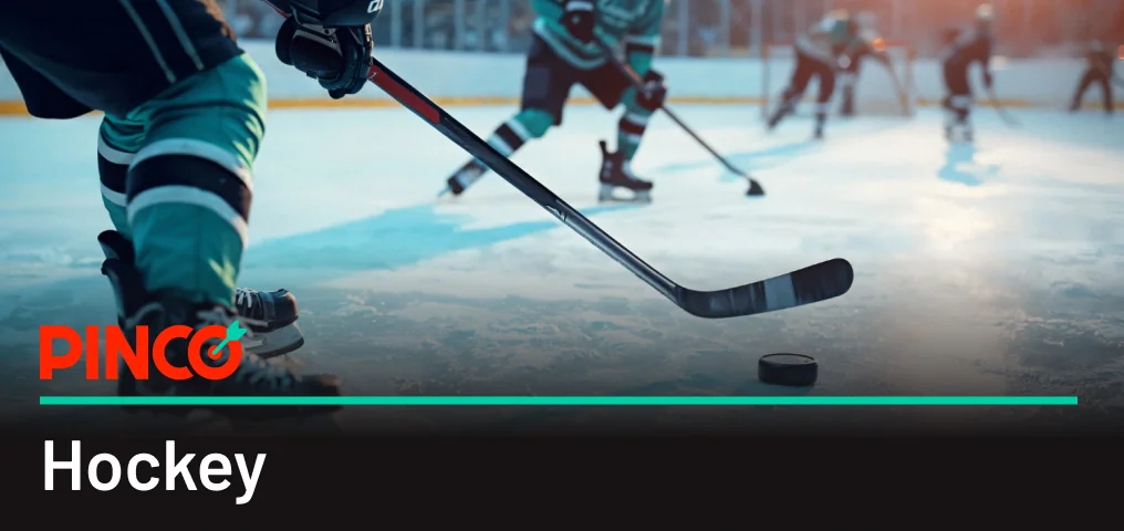 Paris sur le hockey Pinco