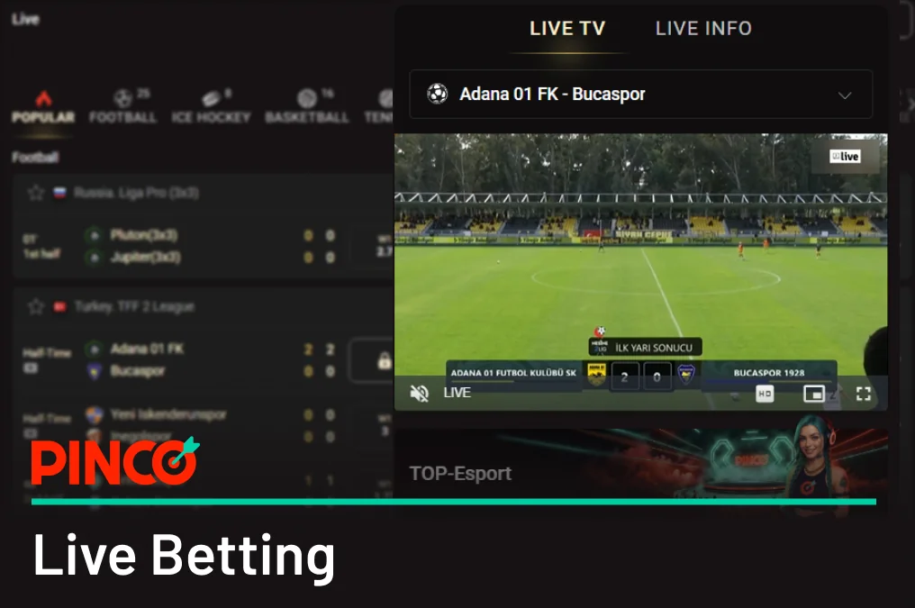 Pinco Allows to Bet in Live on most popular sports events