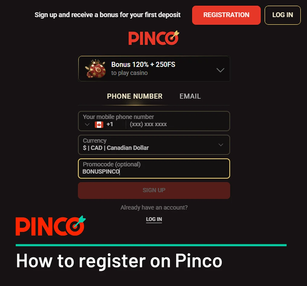 Step by Step registration instruction - Pinco