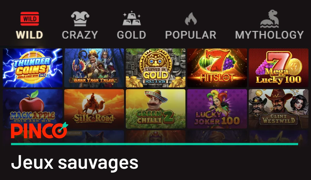 Machines à sous de casino avec symboles Wild Pinco