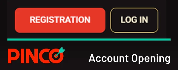 In Pinco you have to make a new profile