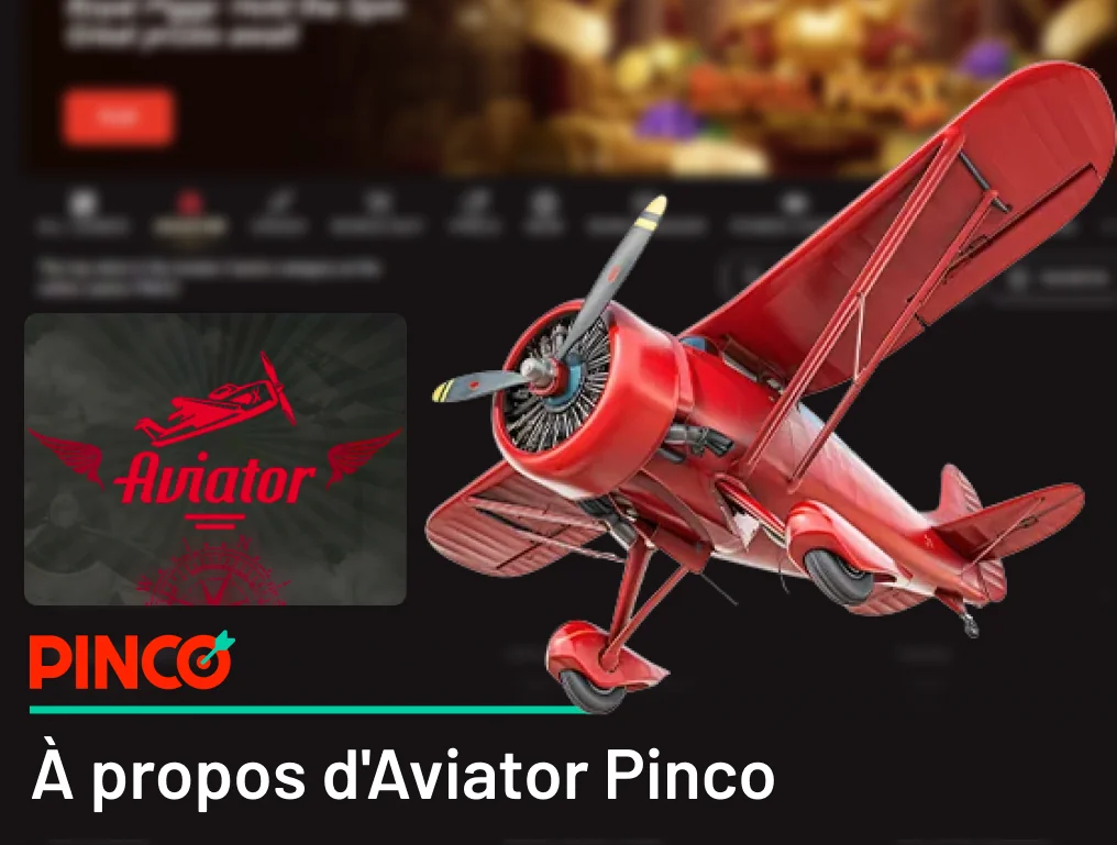 Informations générales sur Pinco Aviator