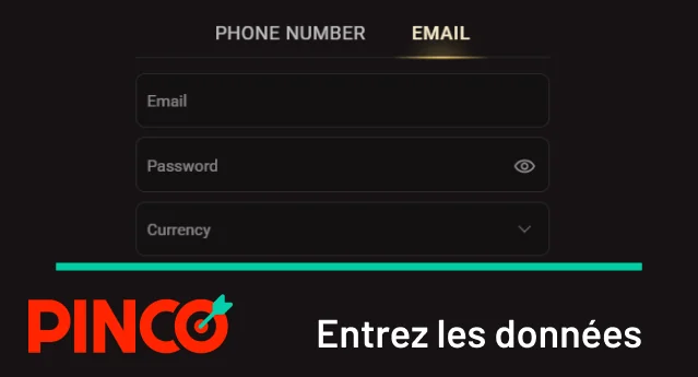Saisir les données nécessaires dans le formulaire contextuel Pinco