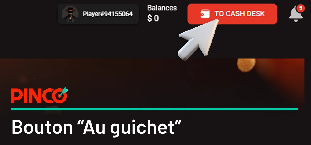 Cliquez sur le bouton "Vers la caisse" Pinco