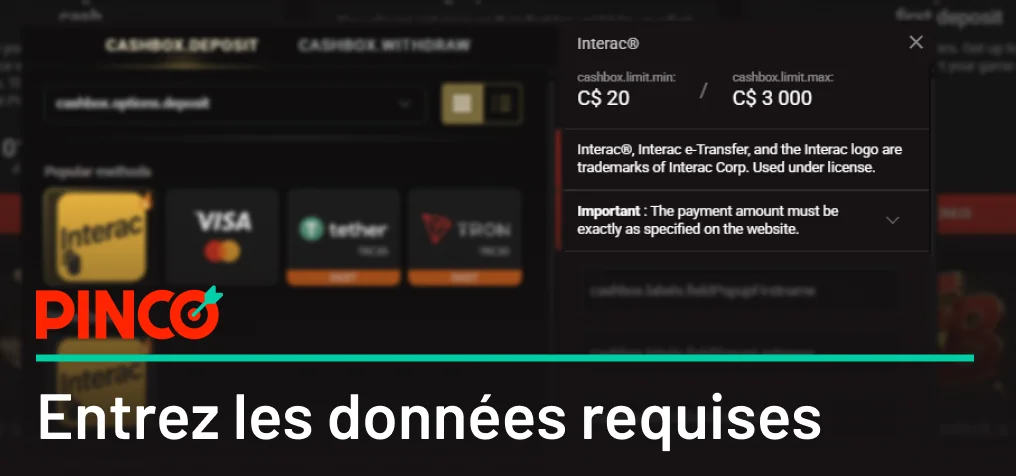 Pinco le système de paiement