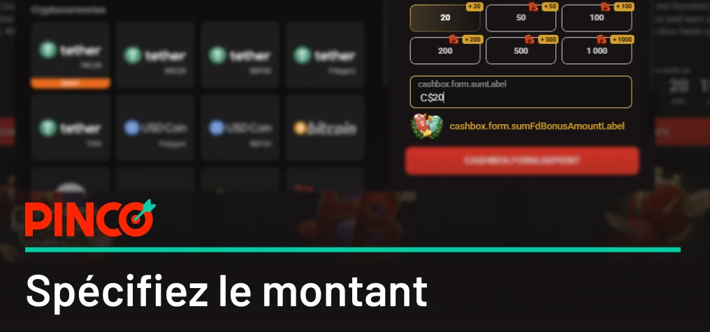 Indiquez le montant que vous allez investir Pinco