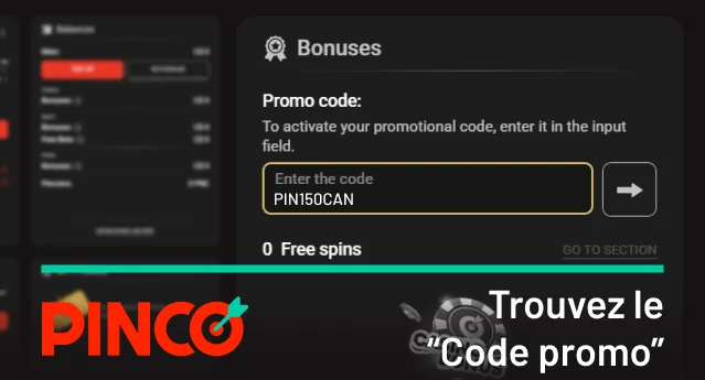 Trouvez le champ de saisie Pinco « Code promo »