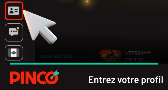 Entrez dans votre profil en cliquant sur l’icône correspondante Pinco