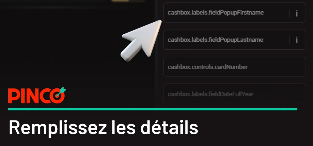 Remplir le formulaire affiché Pinco